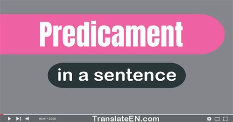 predicament in a sentence|Predicament Definition & Meaning .